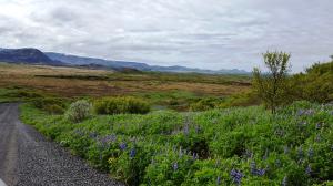 Heiðmörk Nature Reserve