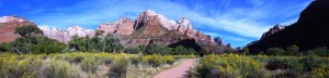 Zion National Park 