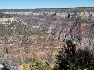 Grand Canyon north rim   