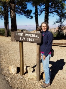 Grand Canyon north rim   