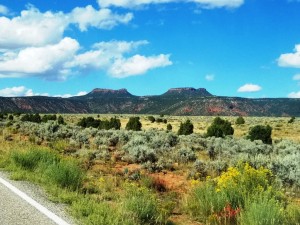 Bears' Ears! Soon to be a Natl Monument?