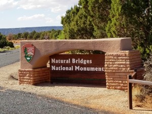 Natural Bridges Natl Monument, UT