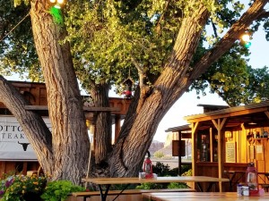 Cottonwood BBQ, Bluff UT 