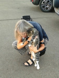 Globetrotter Inn house cat 