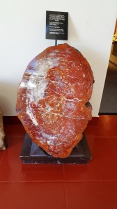 Visitors' Ctr, Petrified Forest Natl Park    