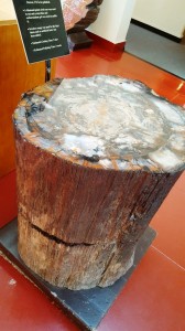Visitors' Ctr, Petrified Forest Natl Park     