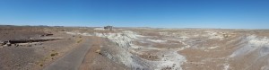 Petrified Forest Natl Park     