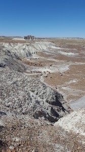 Petrified Forest Natl Park     