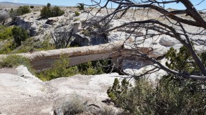 Agate Bridge     