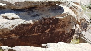 Petroglyphs at the Painted Desert     