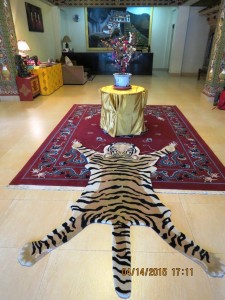 Drukchen Hotel, Paro (not a real tiger :-)    