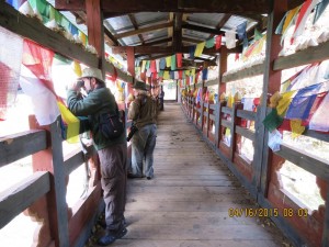 Flag-festooned bridge, Jigme Dorji NP    