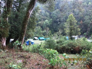 Camp on the Tashithang track     