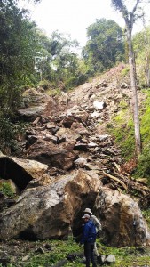 Landslide...     