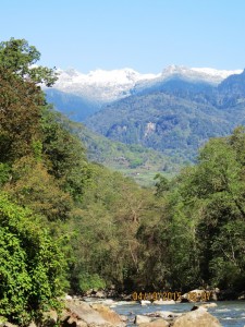 Near camp on the Tashithang track     