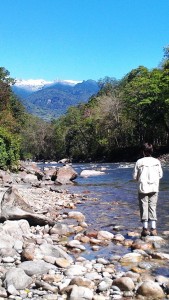 Near camp on the Tashithang track   