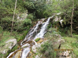 Waterfall   