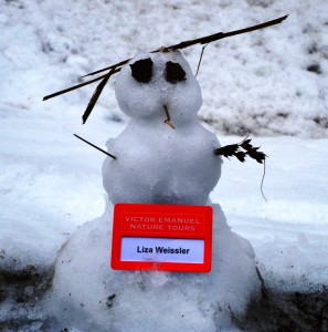 Liza's snowman       