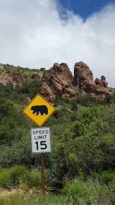 Watch out for bears!  
