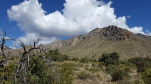 Guadalupe Mountains, TX  