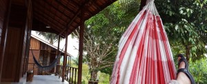 View from the hammock 