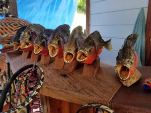 Piranhas! 