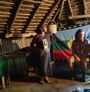 Mapuche village