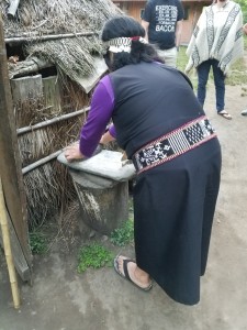 Mapuche village