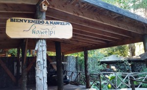 Nawelpi Lodge