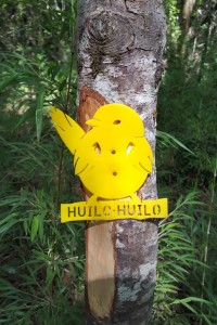 Signs mark the trails