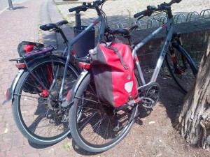 Rental bikes!   