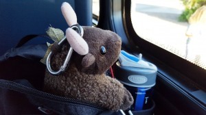 On the road
