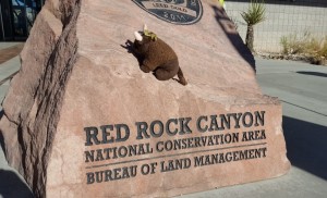 Red Rock Canyon National Conservation Area, NV