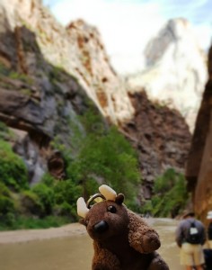 The Narrows, Zion National Park, UT