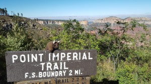 Grand Canyon National Park (north rim), AZ