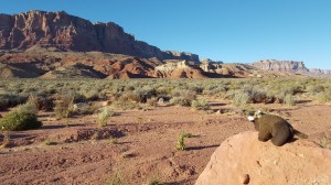 Vermillion Cliffs, AZ