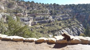 Walnut Canyon National Monument, AZ
