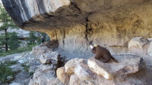 Walnut Canyon National Monument, AZ