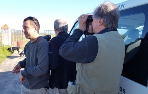 Last gasp of birding