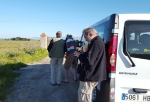 Last gasp of birding