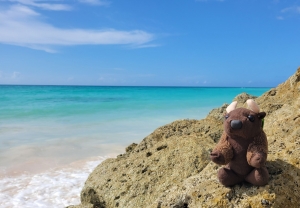 Lesser Antilles 2023-Buddy