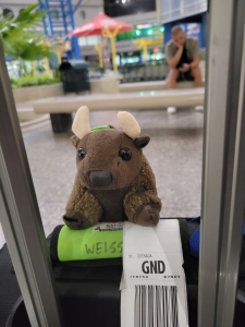 Overnight in the Barbuda airport