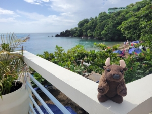 St Vincent & the Grenadines