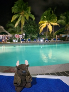 Poolside, St Lucia