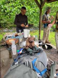 Picnic brunch, Guadeloupe