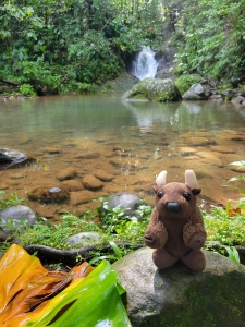 Cascades aux Ecrevisses, Guadeloupe