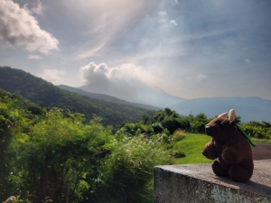 Montserrat Volcano Observatory