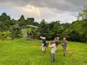 Birding at the end of the rainbow