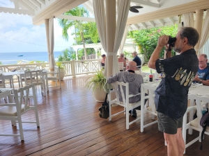Birding before lunch