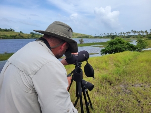 Birding at Vieux Fort, St Lucia